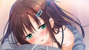 Los 10 mejores anime hentai del 2020