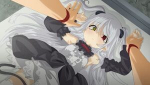 Boku wa Chiisana Succubus no Shimobe OVA 2